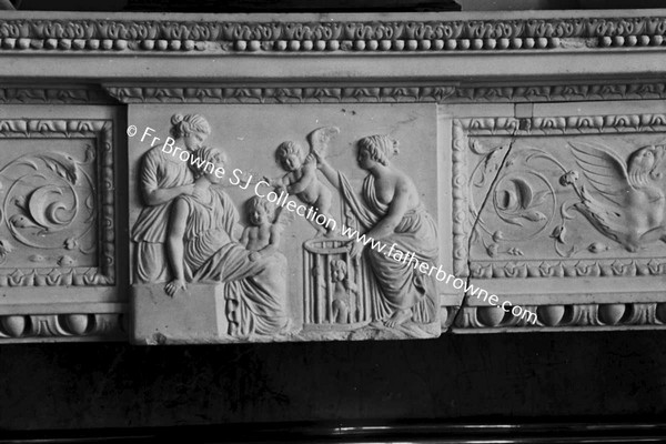 BIRR CASTLE  LIBRARY PANEL IN MANTLE PIECE